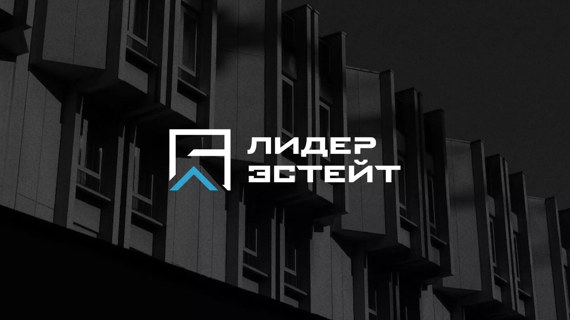 Разработка логотипа агентства недвижимости «Лидер Эстейт» в Яранске